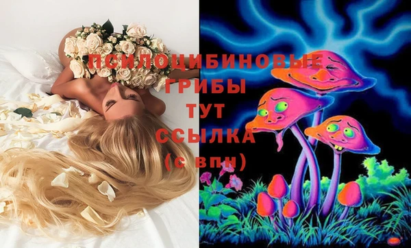 MDMA Premium VHQ Рославль