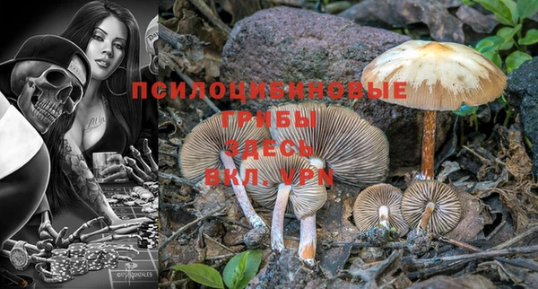 кокс Дмитров