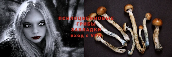 кокс Дмитров