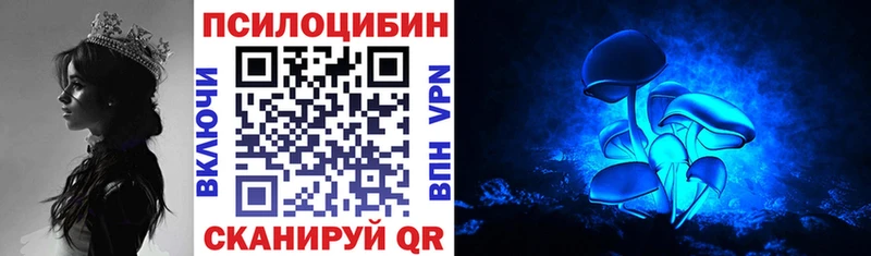 Галлюциногенные грибы MAGIC MUSHROOMS  даркнет сайт  blacksprut зеркало  Светлогорск 
